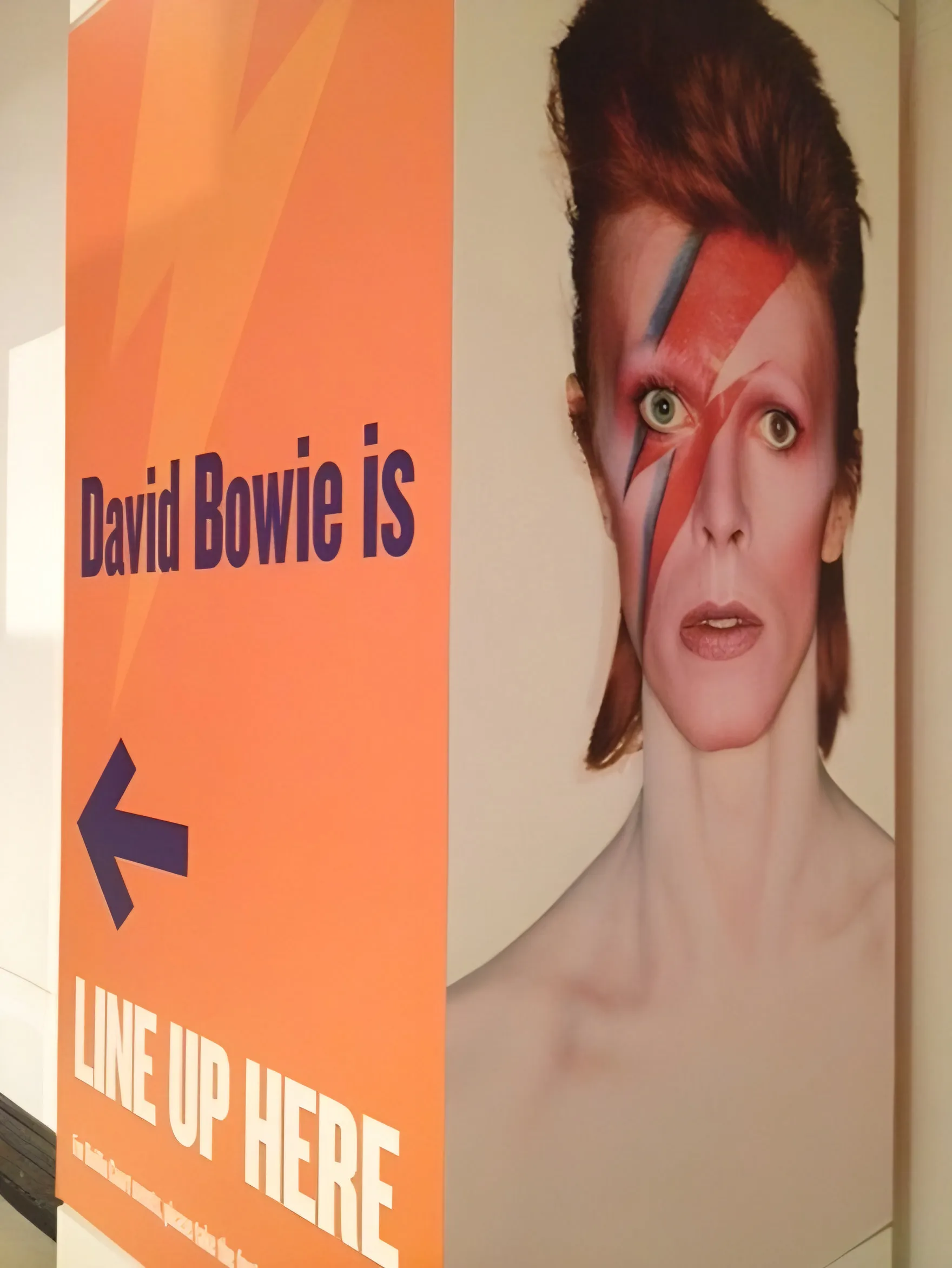 DBowie