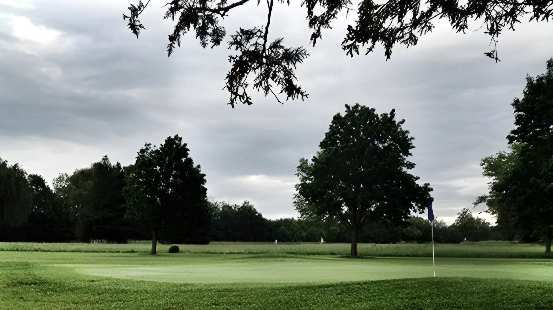 golf 1