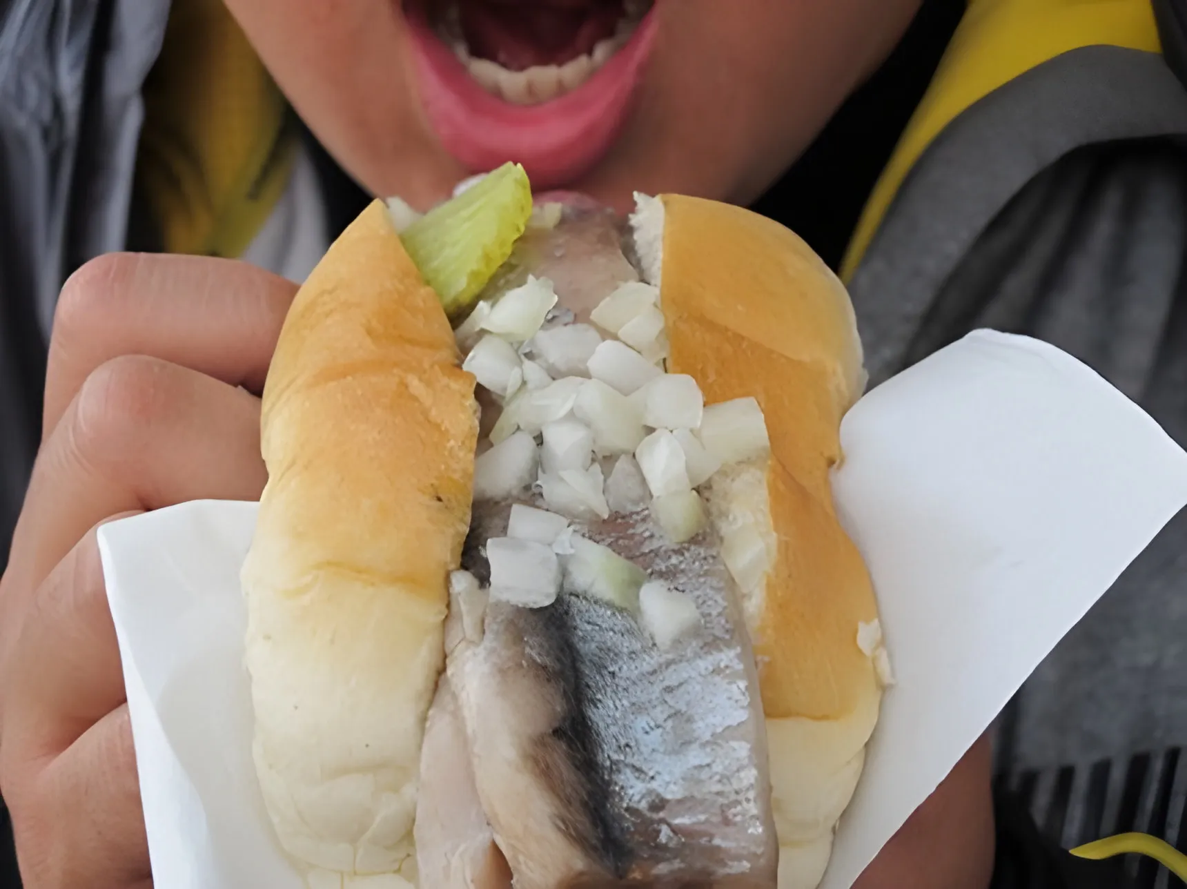 Raw Herring on a Bun